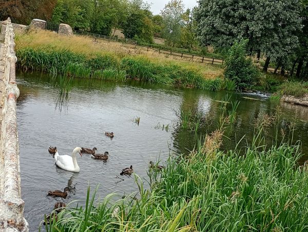Fairford Pond